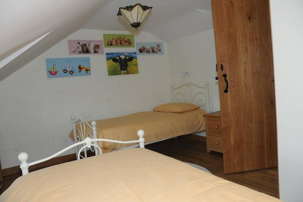 Ty-Hapus Cottage Jordanston エクステリア 写真