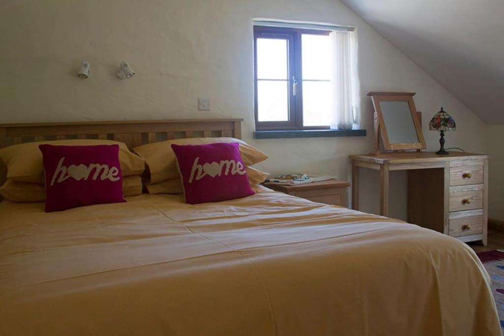Ty-Hapus Cottage Jordanston エクステリア 写真